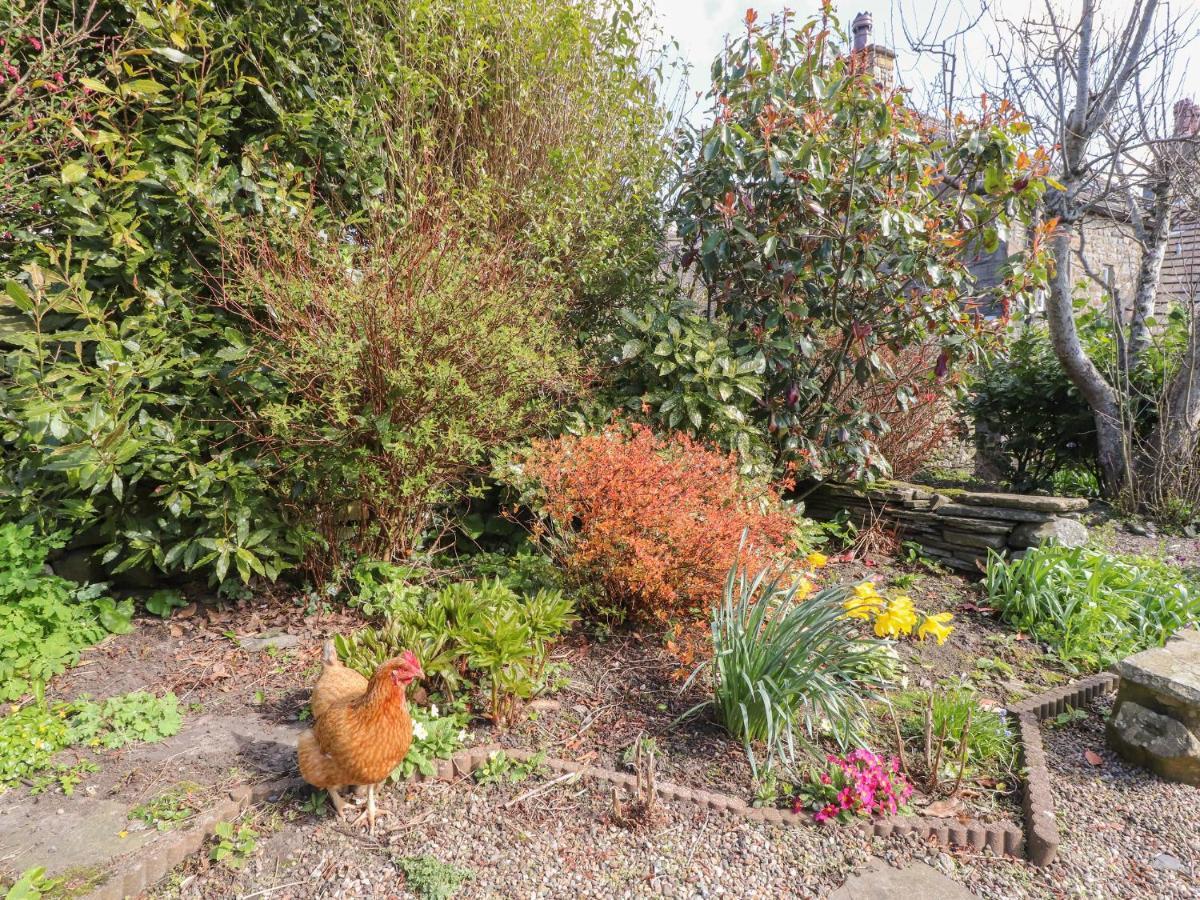 Beehive Cottage Bentham エクステリア 写真